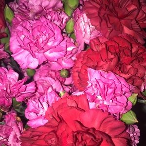 Meet your Posher, Briana